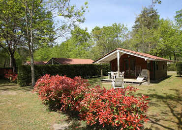 Camping L'Etang d'Ardy