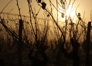 Domaine des Pierrettes