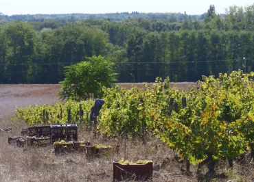 Domaine de Montoray