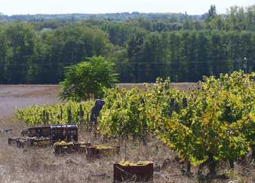 Domaine de Montoray