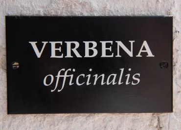 Gîte Verbena - La Barboire Campagne