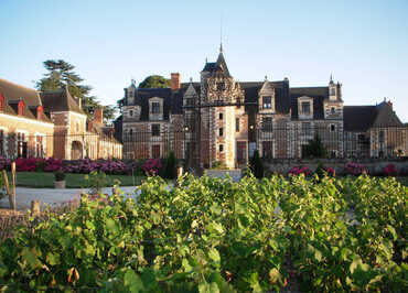 Château de Jallanges