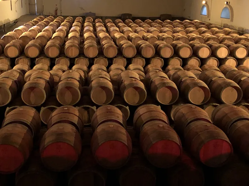 Cave des vignerons de Buzet