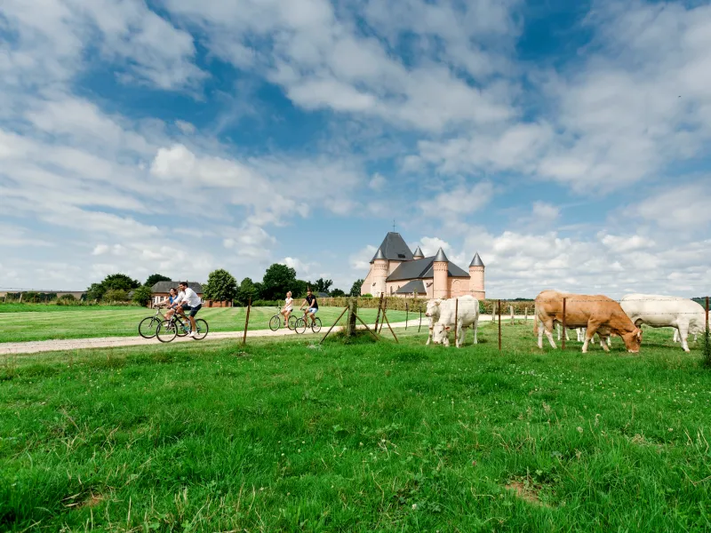 Vaches, bocage et pédalage devant l'église fortifiée de Beaurain