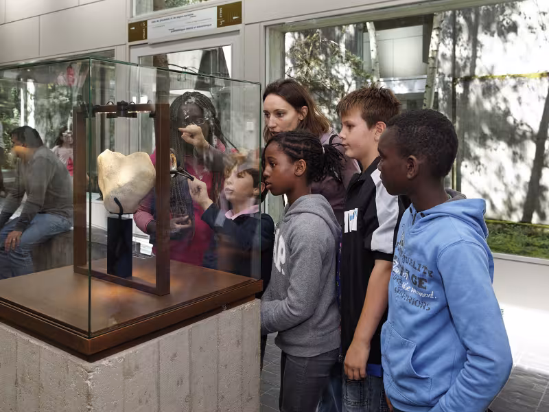 Musée de Préhistoire à Nemours