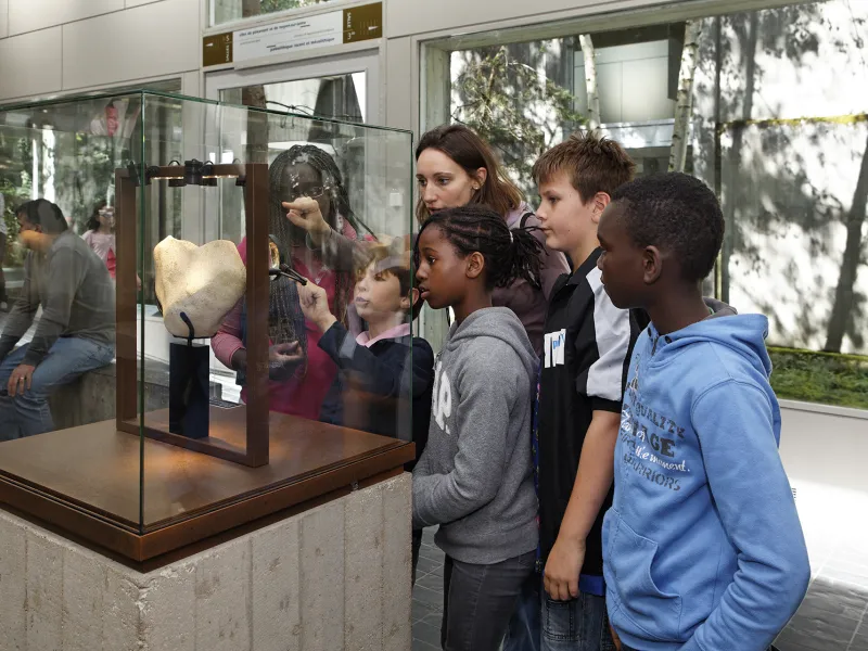 Musée de Préhistoire à Nemours