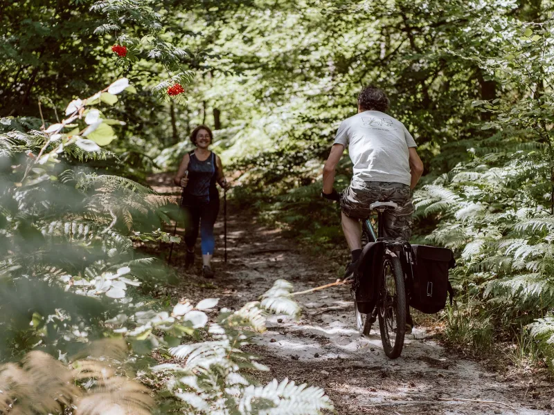 Cycliste chargé en forêt d'Ermenonville