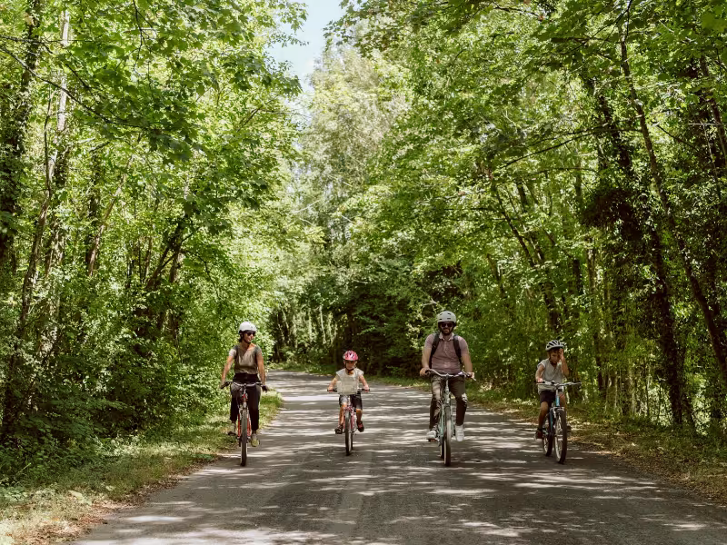 A vélo en forêt d'Ermenonville