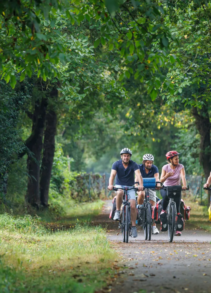Groupe cyclistes La Scandibérique en pleine nature