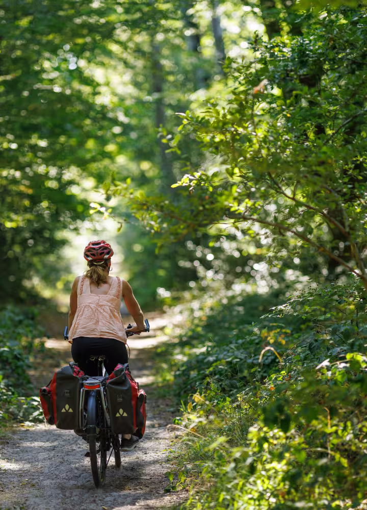 Cycliste Scandibérique forêt bucolique
