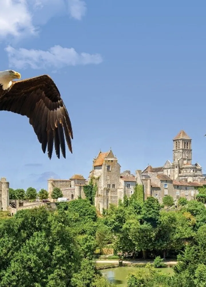 Aigles au dessus de Chauvigny
