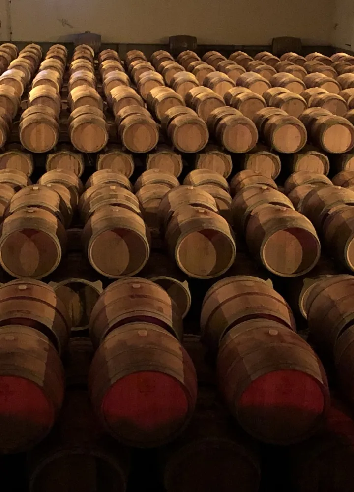 Cave des vignerons de Buzet