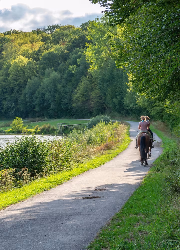 Balade à cheval à Valjoly
