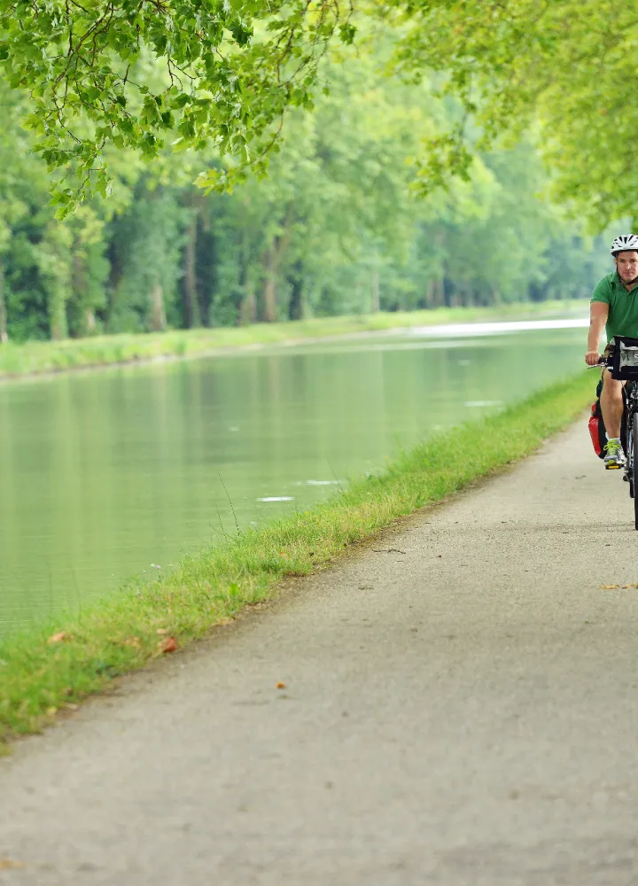 Balade à vélo sous les platanes du canal de Garonne