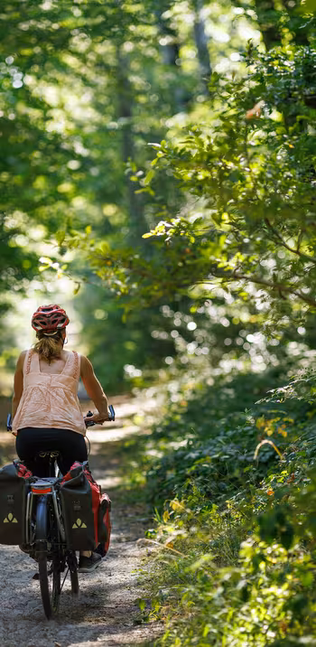 Cycliste Scandibérique forêt bucolique