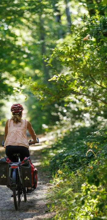 Cycliste Scandibérique forêt bucolique