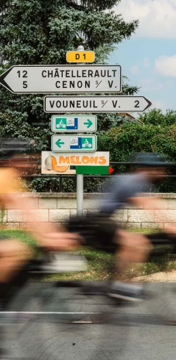 La Scandibérique en Vienne