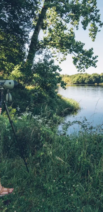 Randonneuse au bord d'un lac de Haute Charente