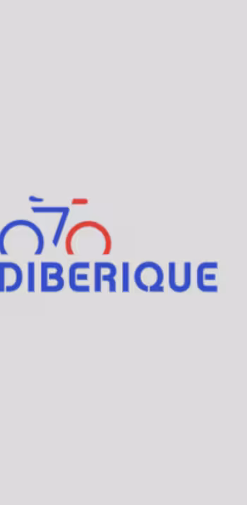 logos_scandiberique.PNG