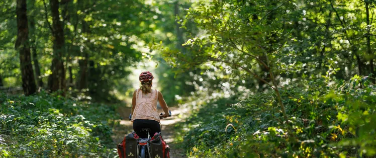 Cycliste Scandibérique forêt bucolique