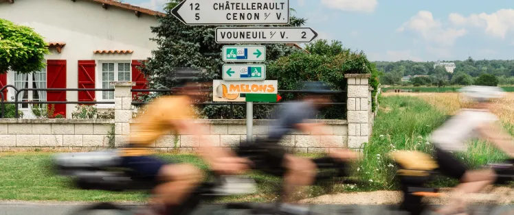 La Scandibérique en Vienne