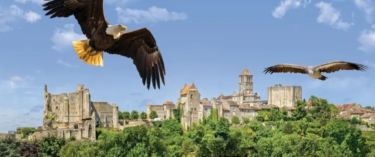 Aigles au dessus de Chauvigny