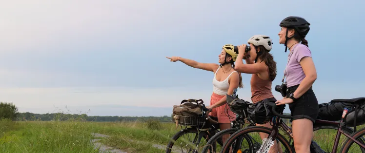 A vélo dans les Landes