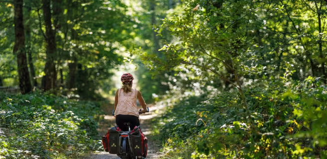 Cycliste Scandibérique forêt bucolique