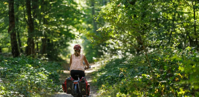 Cycliste Scandibérique forêt bucolique