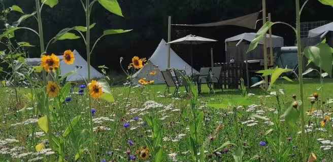 Eco-Glamping "Au Pré Fleuri"