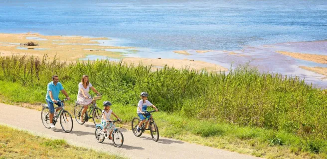 Location de Vélos électriques - Châteauneuf sur Loire