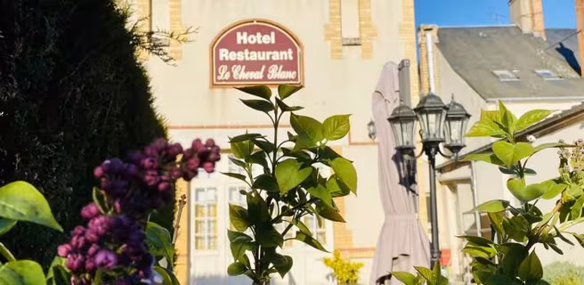 Hôtel Le Cheval Blanc