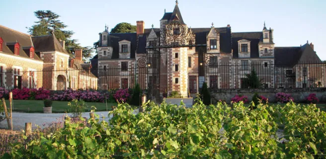 Château de Jallanges