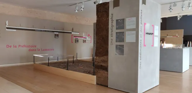 Musée de Préhistoire