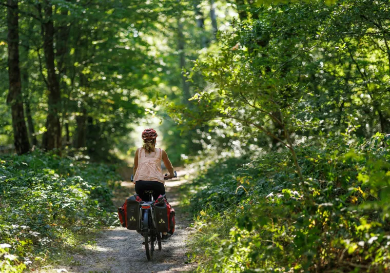 Cycliste Scandibérique forêt bucolique