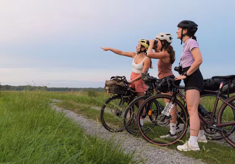 A vélo dans les Landes
