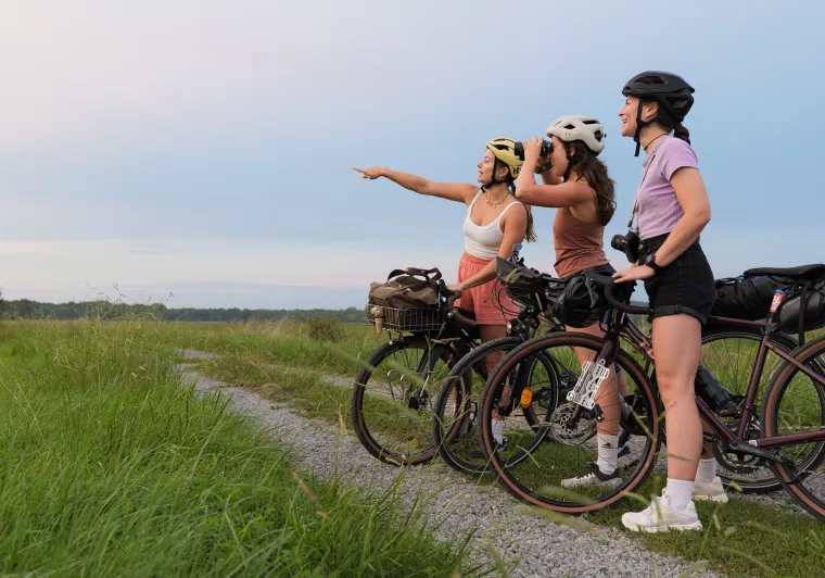 A vélo dans les Landes