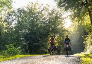 Cyclistes Scandibérique route ombragée arbes