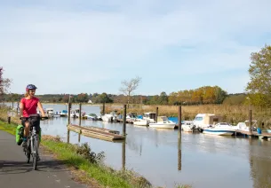 L'Adour une rivière à saumon