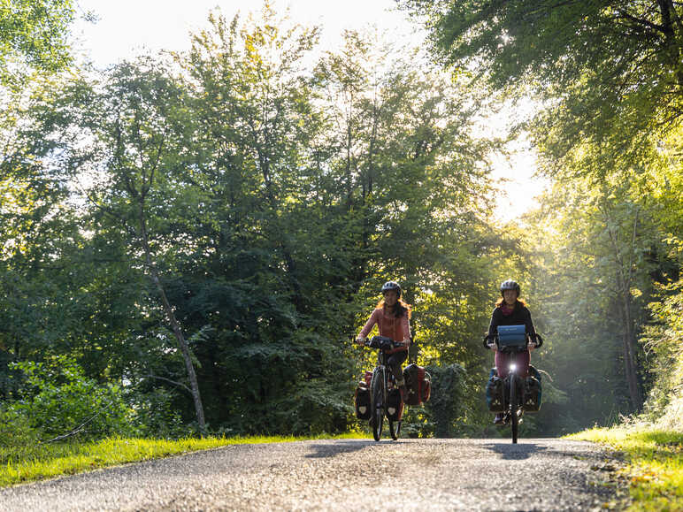 Cyclistes Scandibérique route ombragée arbes